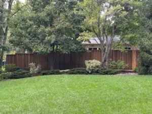 Deck and Fence Staining